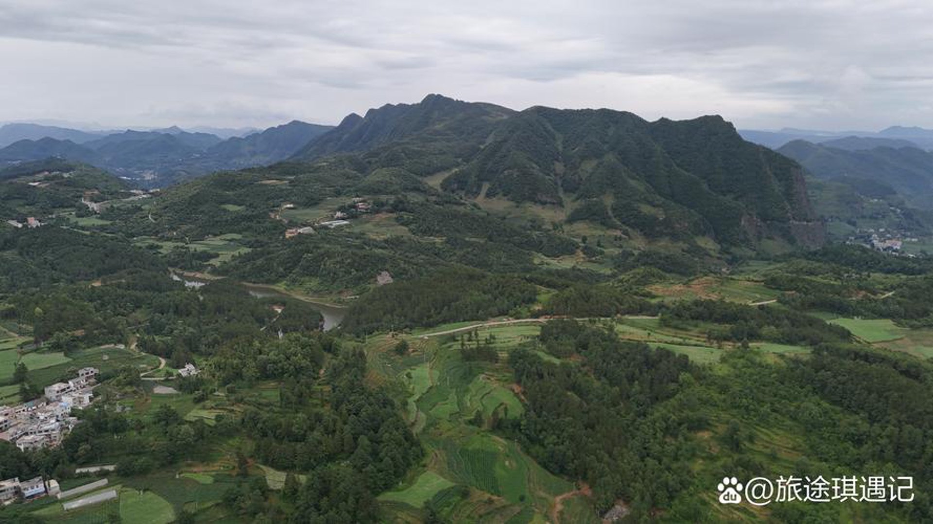 凤凰山外山茶业