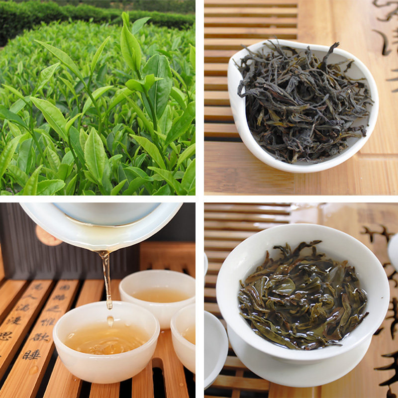 探秘潮州凤凰山：一份详尽的选购指南