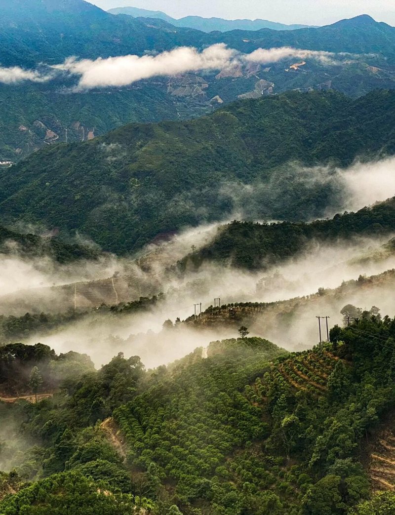 潮州凤凰山
