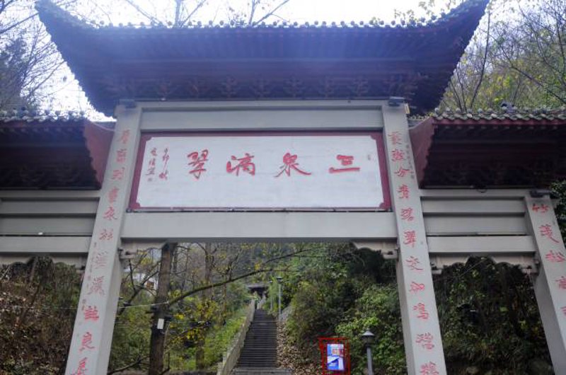 如何轻松选购优质单丛茶